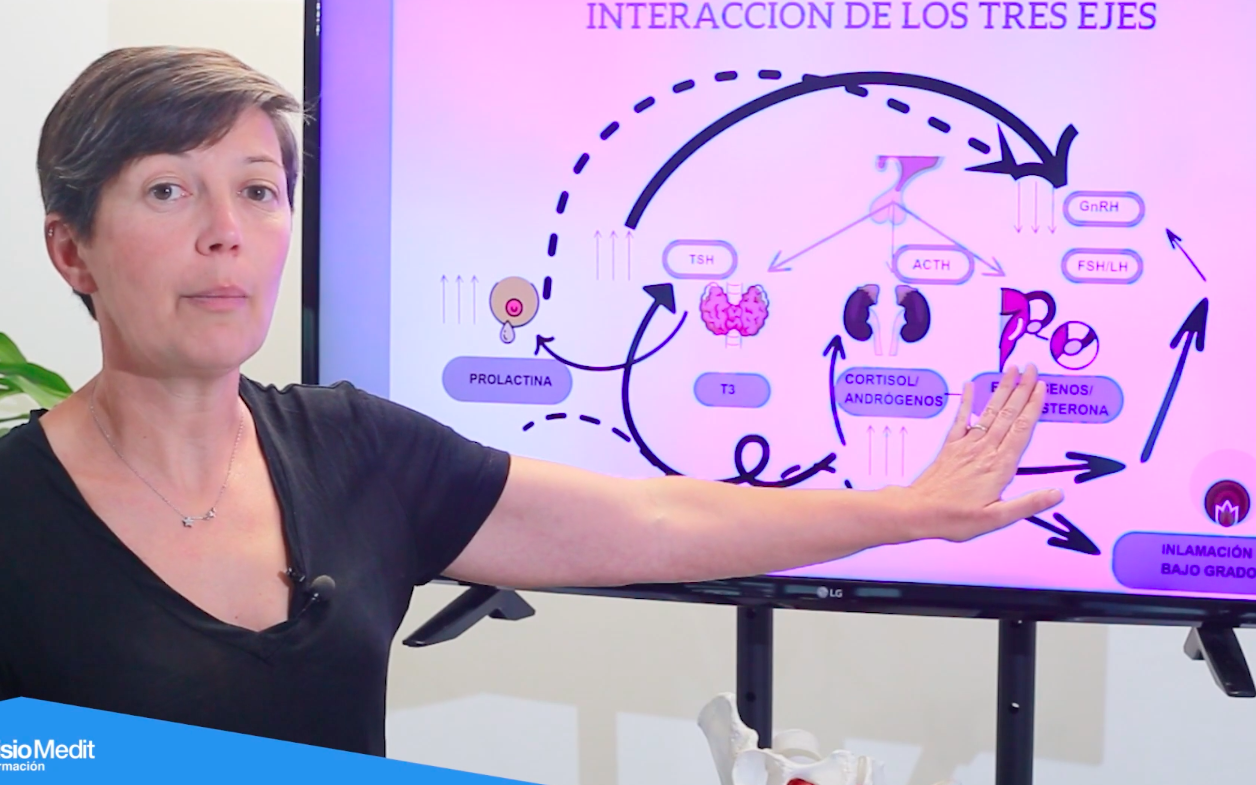 tratamiento de la endometriosis con fisioterapia